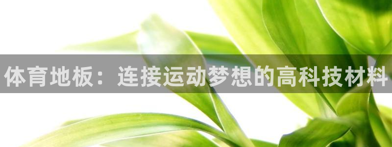 JJB竞技宝官方正版app集团：体育地板：连接运动梦想的高科