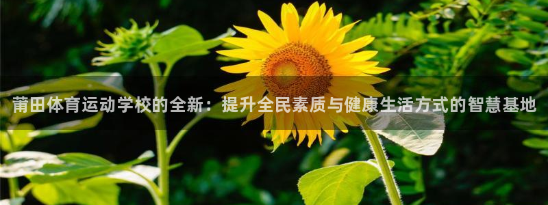 JJB竞技宝官网下载平台是正规平台吗安全吗