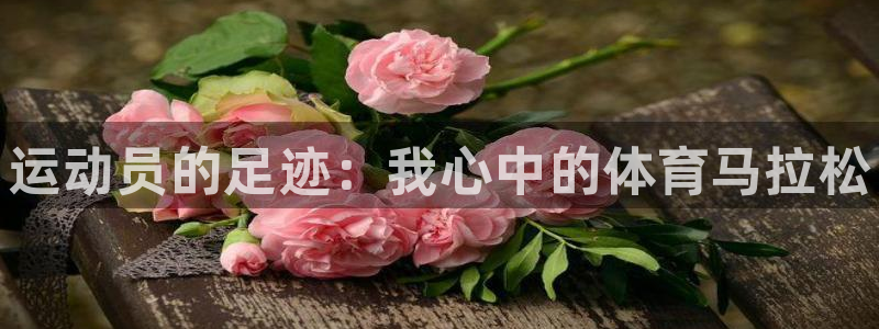 JJB竞技宝官方正版app娱乐是那个系列的台子