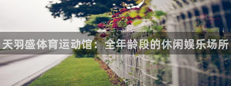 JJB竞技宝官方正版app集团E.ON：天羽盛体育运动馆：全