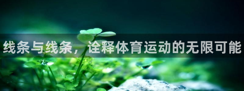 JJB竞技宝官网下载招商电话号码：线条与线条，诠释体育运动的
