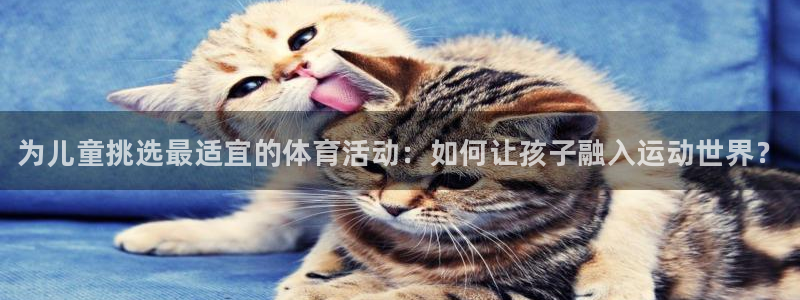 JJB竞技宝官方正版app娱乐是那个系列的台子