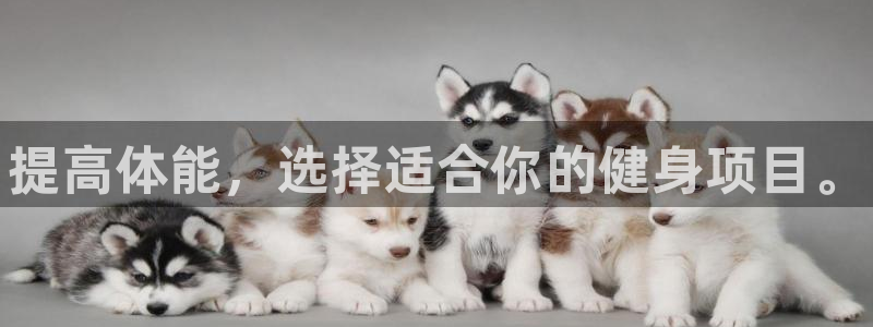 JJB竞技宝官网下载招商电话号码是多少啊：提高体能，选择适合