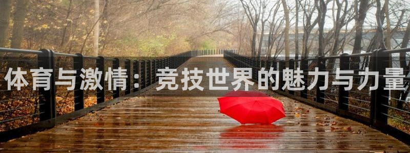 JJB竞技宝官方正版app娱乐首页官网下载：体育与激