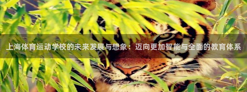 JJB竞技宝官网下载平台注册流程视频：上海体育运动学