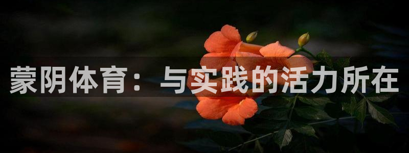 JJB竞技宝官网下载招商电话号码：蒙阴体育：与实践的活力所在