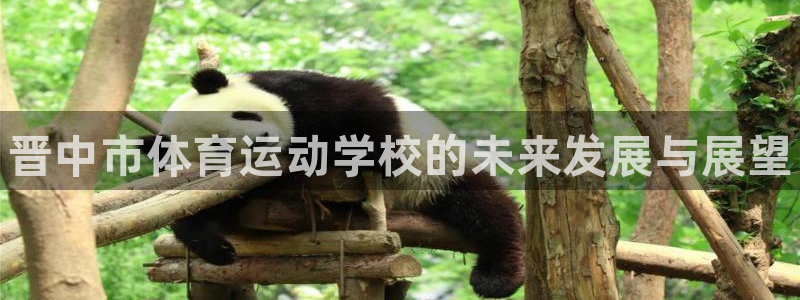 JJB竞技宝官方正版app新能源