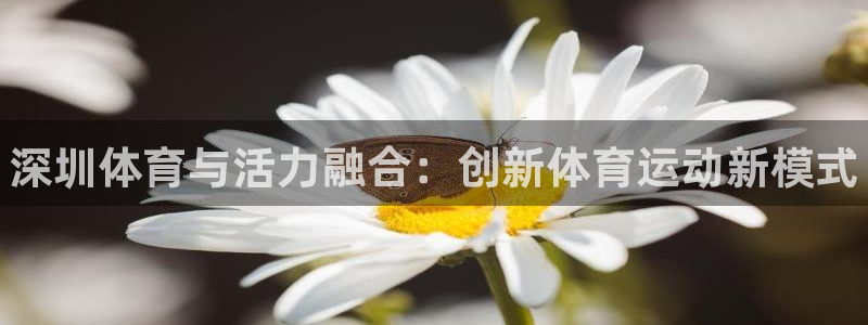 JJB竞技宝官网下载招商电话号码：深圳体育与活力融合：创新体