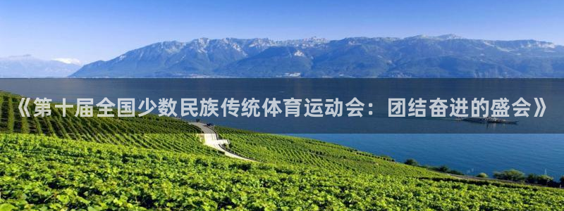 JJB竞技宝官网下载：《第十届全国少数民族传统体育运动会：团