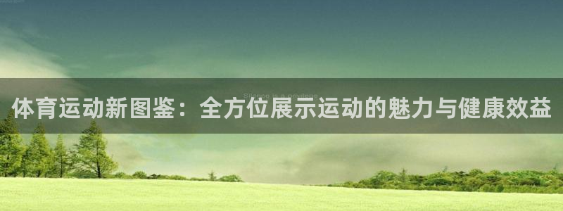JJB竞技宝官网下载平台注册流程图：体育运动新图鉴：全方位展