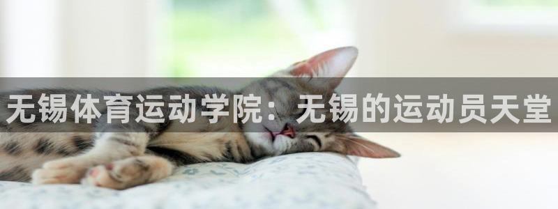 JJB竞技宝官网下载招商电话号码是多少