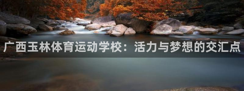 JJB竞技宝官方正版app官方：广西玉林体育运动学校：活力与