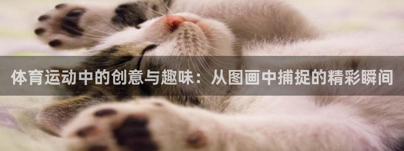 JJB竞技宝官网下载平台注册要钱吗：体育运动中的创意与趣味：