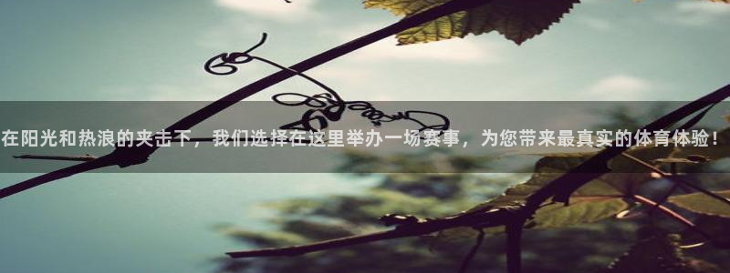 JJB竞技宝官网下载招商电话号码查询：在阳光和热浪的夹击下，