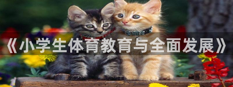 JJB竞技宝官方正版app集团简介：《小学生体育教育与全面发