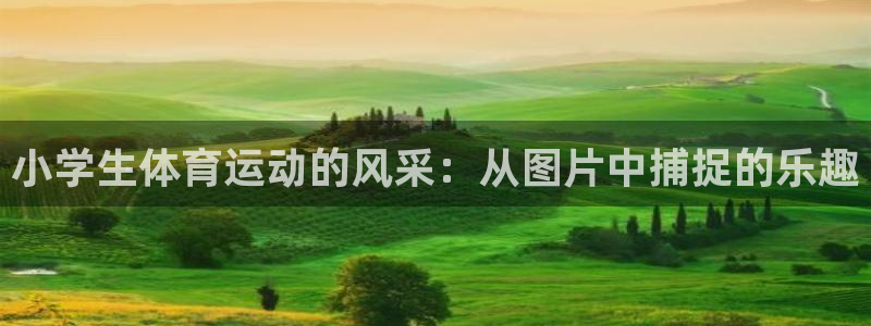 JJB竞技宝官网下载平台是正规平台吗：小学生体育运动