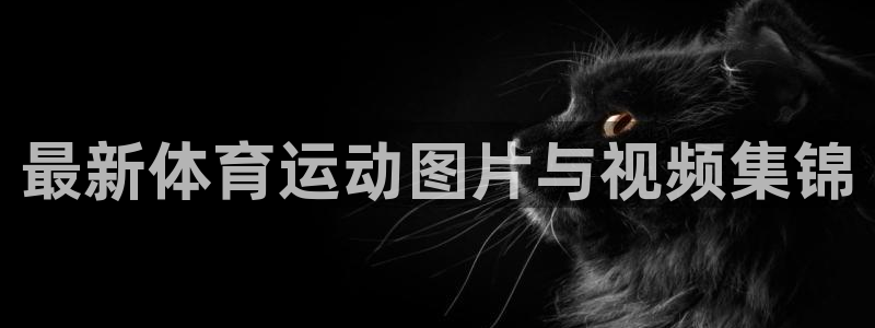 JJB竞技宝官网下载招商电话号码查询