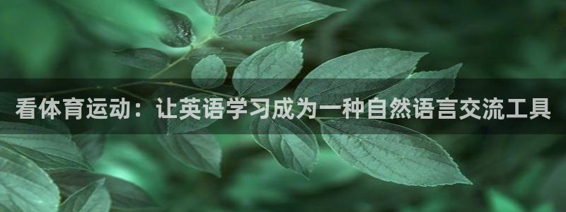 JJB竞技宝官方正版app集团logo：看体育运动：让英语学