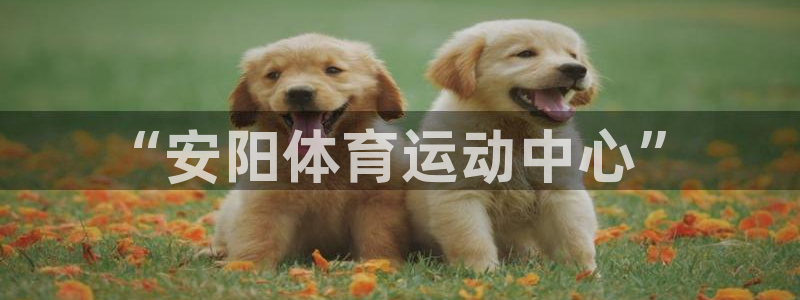 JJB竞技宝官方正版app五金厂：“安阳体育运动中心”