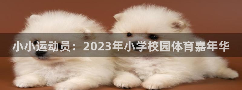 竞技宝客服电话多少：小小运动员：2023年小学校园体育嘉年华