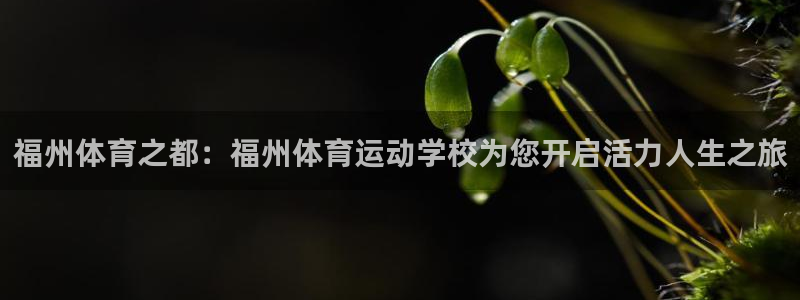 竞技宝最新网站在线观看：福州体育之都：福州体育运动学校为您开