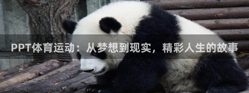 竞技宝为什么注册不了看hahabet：PPT体育运动：从梦想